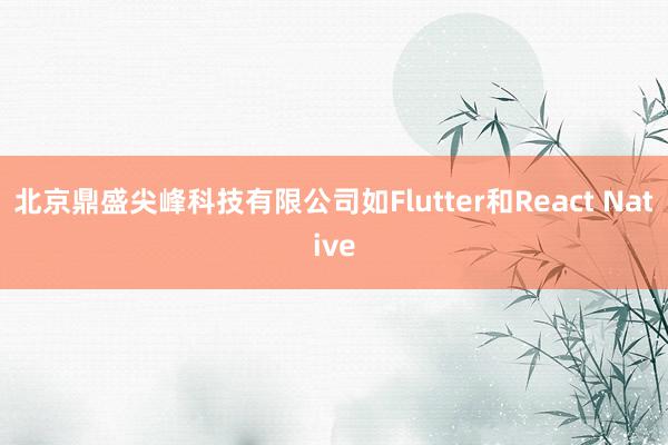 北京鼎盛尖峰科技有限公司如Flutter和React Native